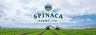Spinaca Farms