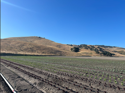 Regenerative California