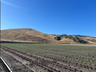 Regenerative California