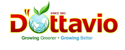 D'Ottavio Produce