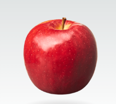 Gilbert Orchards