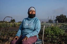 Narci Organic Farm