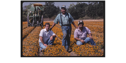 Fiorio Farms