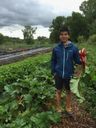 Alfie's Test Farm