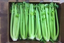 Access Organics