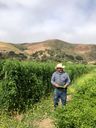 Alcantar Family Farm