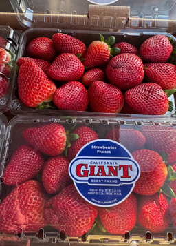 Cal Giant Berries