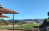 Live Earth Farm
