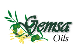 Gemsa Enterprises