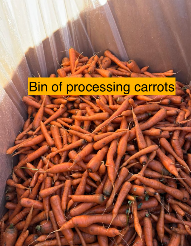 JAS Family Farms Organics image 11