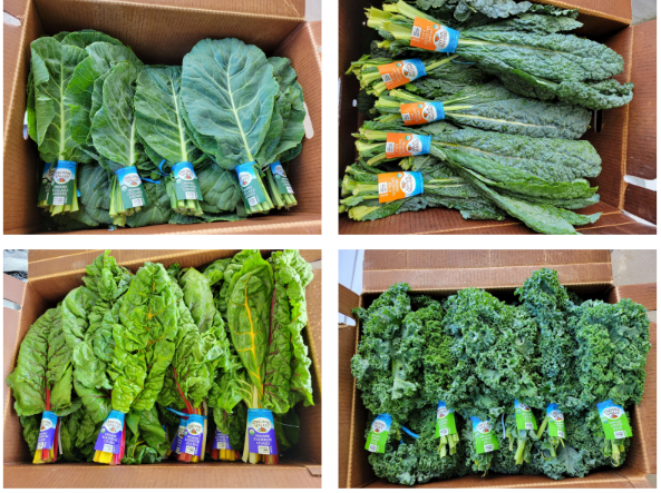 Organic Valley (CROPP) image 1