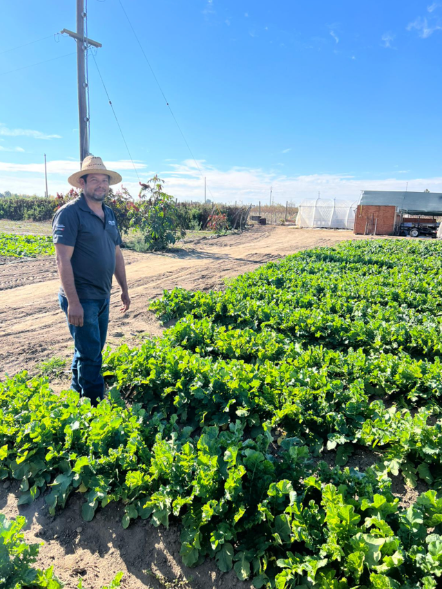 Ambriz Farms image 1