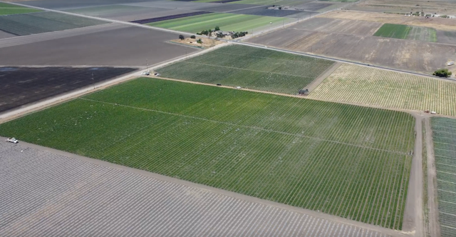 JAS Family Farms Organics image 27