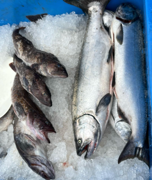 Port Orford Sustainable Seafood image 10