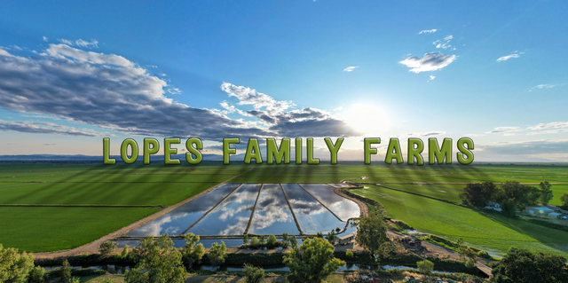 Lopes Family Farms image 2