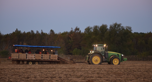 Peebles Organic Farm image 3