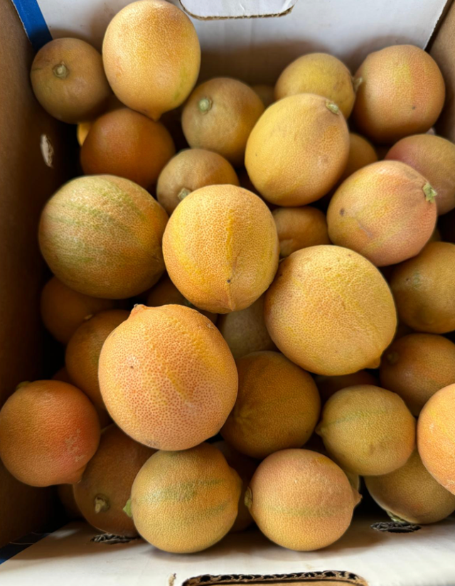 Galpin Family Farm image 15