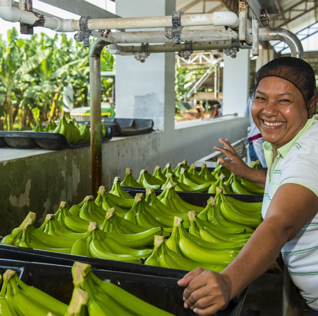 GROW Organics image 1