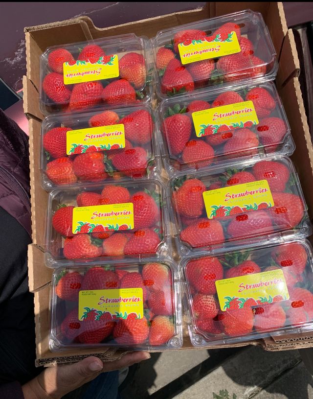 Mimis Organic Farms image 1