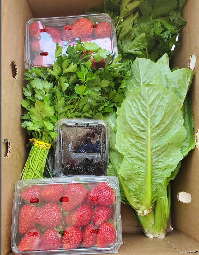 Narci Organic Farm image 1