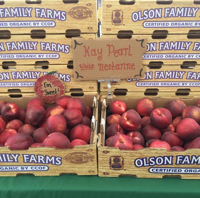 Olson Family Farm image 3