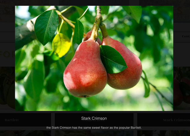 Stillwater Orchards image 5