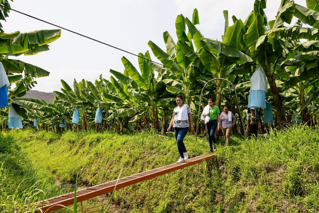 GROW Organics image 7