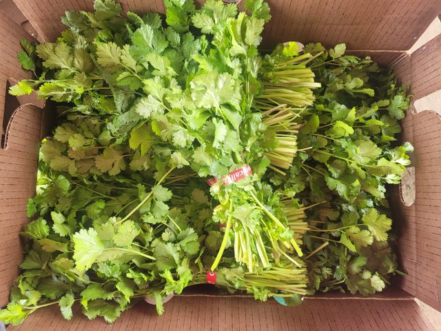 Narci Organic Farm image 10