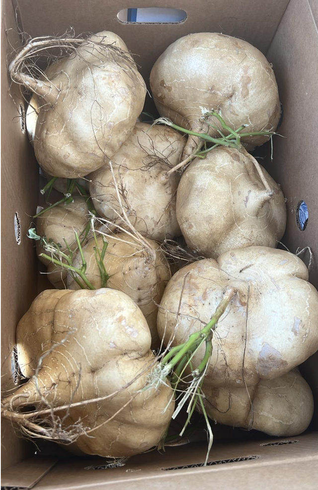 Vang Farmers image 6