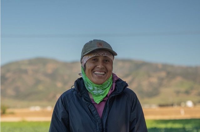 Induchucuiti Organic Farm image 1