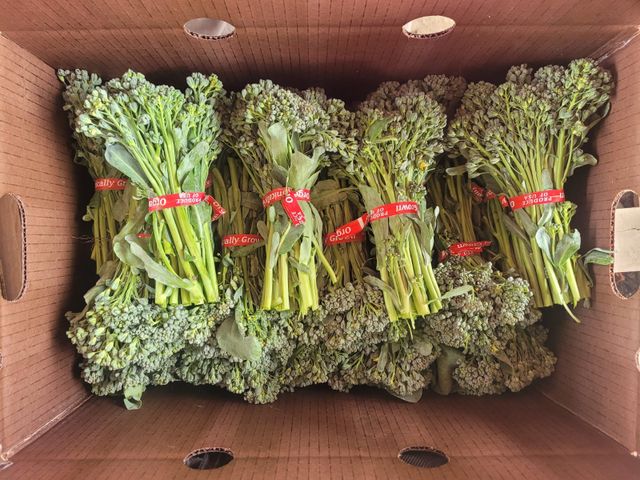 Narci Organic Farm image 6