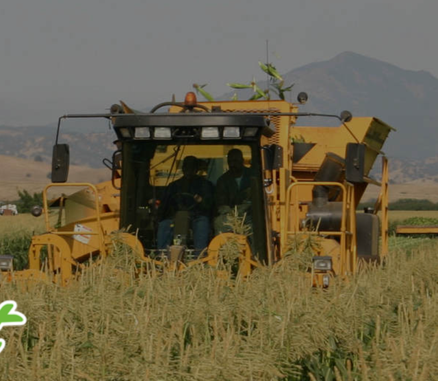 Simoni & Massoni Farms image 2