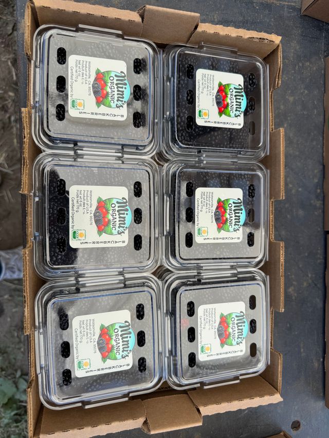 Mimis Organic Farms image 8
