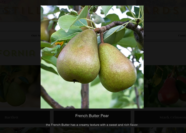 Stillwater Orchards image 6