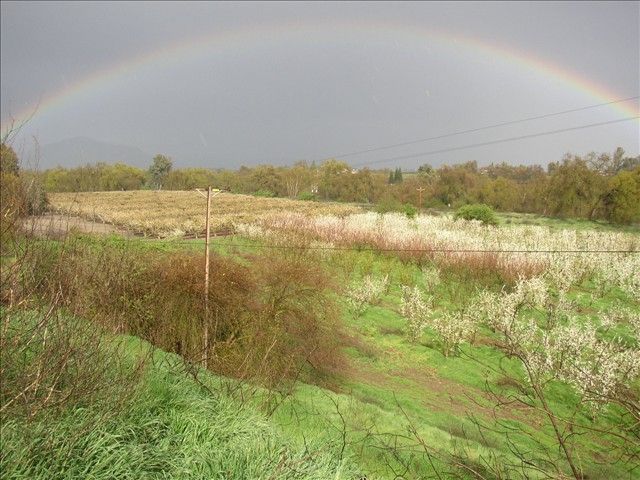 Blossom Bluff Orchards image 11