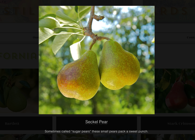 Stillwater Orchards image 7