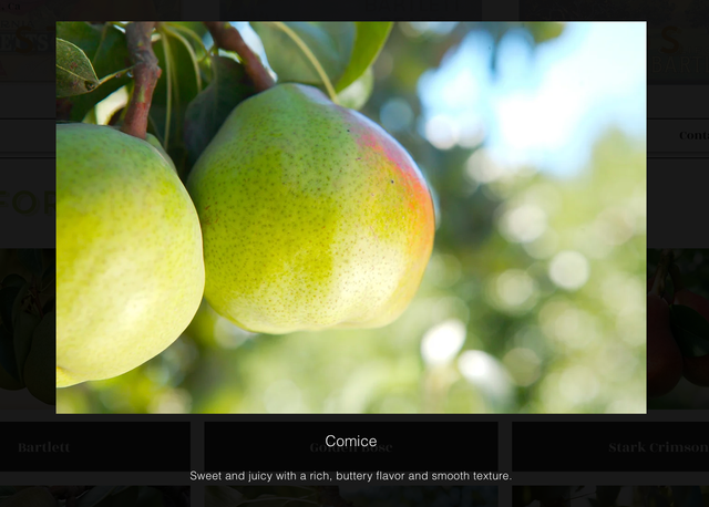 Stillwater Orchards image 9