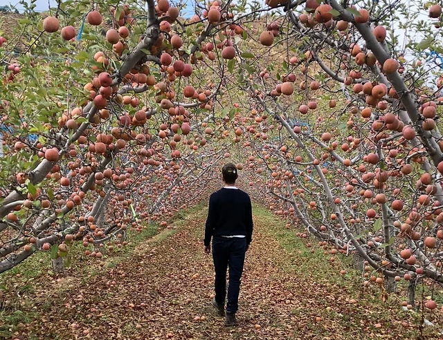Cuyama Orchards image 1