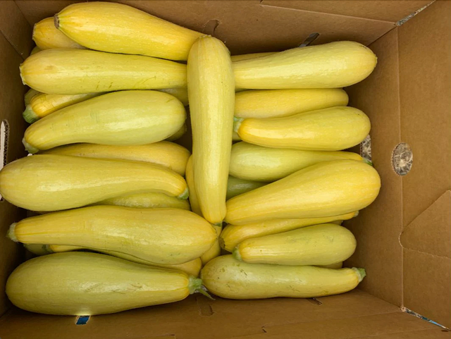 JAS Family Farms Organics image 12