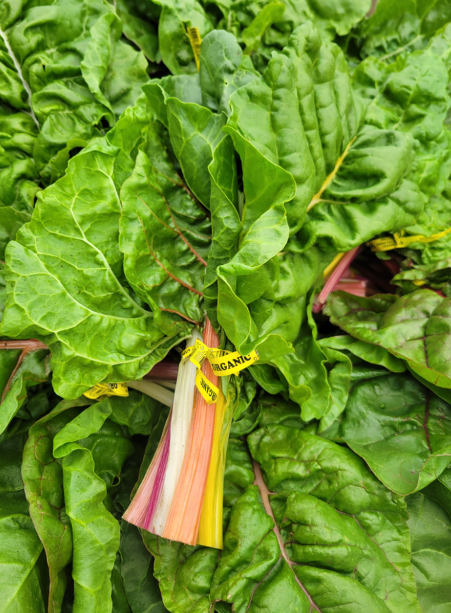 Fernandez Organic Farm image 7