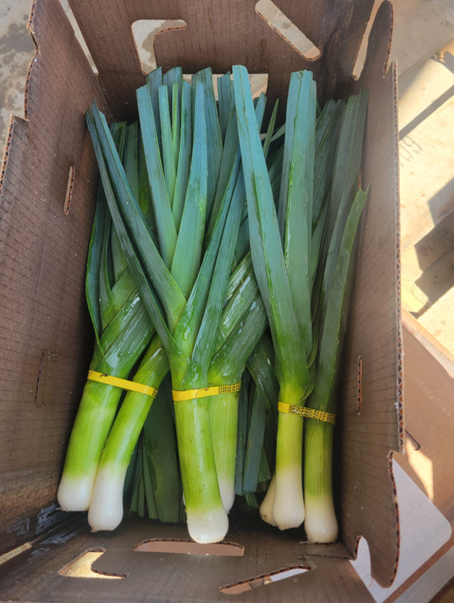 Fernandez Organic Farm image 8