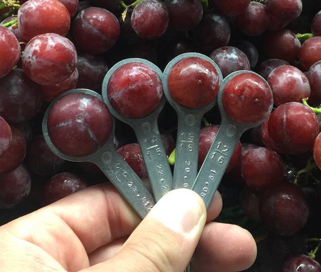 Molly's Grapes & Citrus image 7