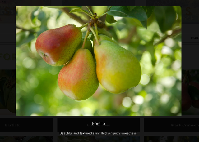 Stillwater Orchards image 10