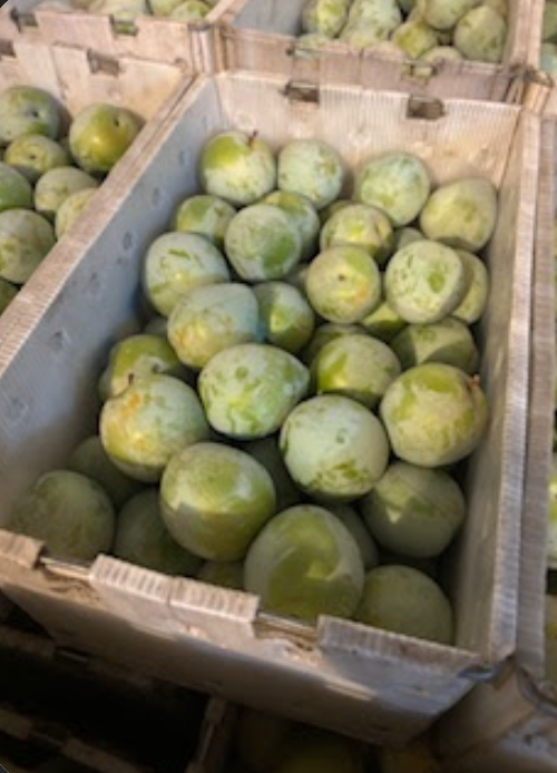 Blossom Bluff Orchards image 12