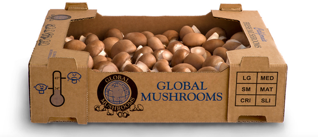 Global Mushrooms image 8