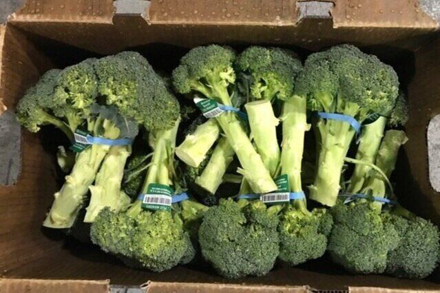Access Organics image 3