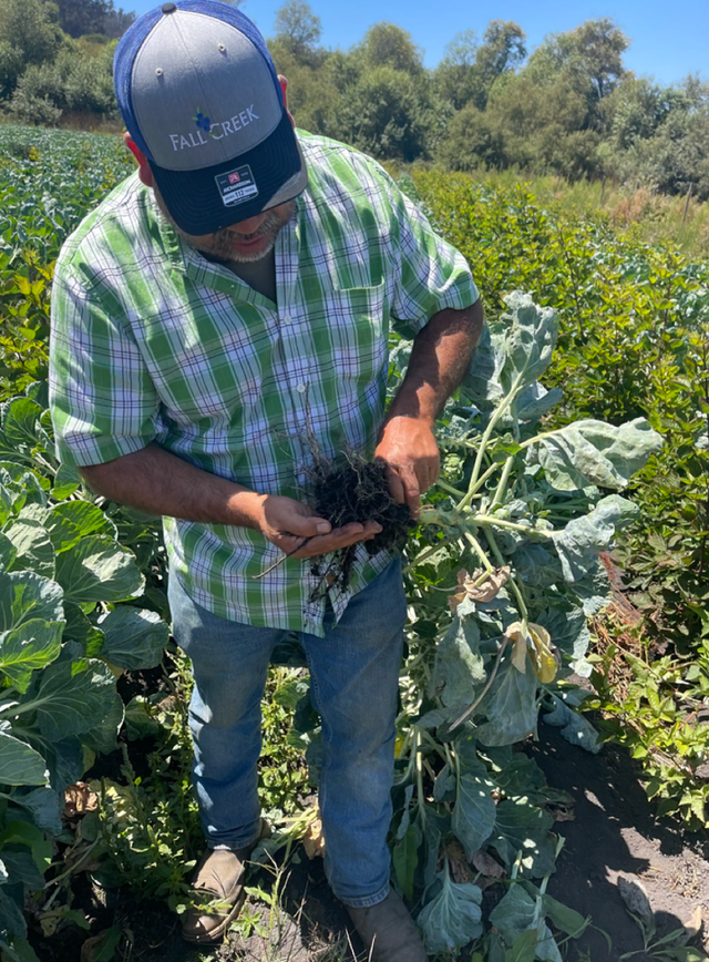 JSM Organics image 9