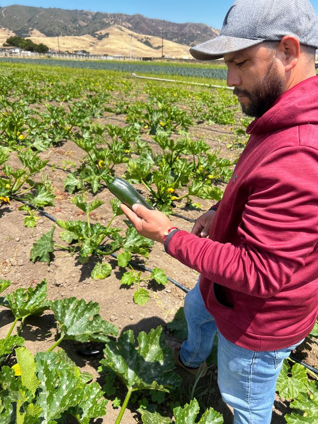Bucio Organic Farm image 7