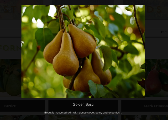 Stillwater Orchards image 4
