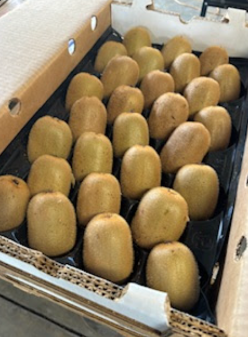 Blossom Bluff Orchards image 14
